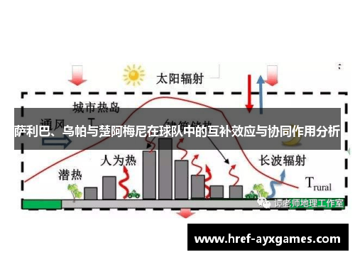 萨利巴、乌帕与楚阿梅尼在球队中的互补效应与协同作用分析 萨利巴、乌帕与楚阿梅尼在球队中的互补效应与协同作用分析