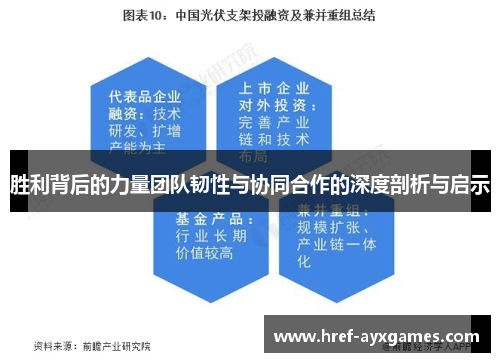 胜利背后的力量团队韧性与协同合作的深度剖析与启示