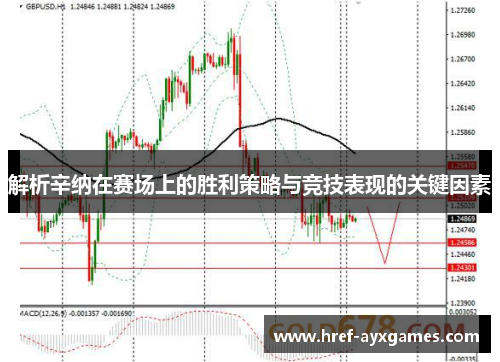 解析辛纳在赛场上的胜利策略与竞技表现的关键因素