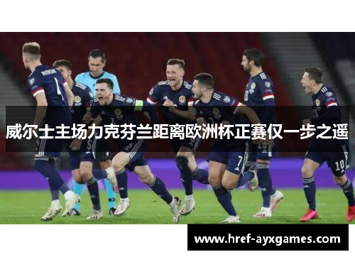 威尔士主场力克芬兰距离欧洲杯正赛仅一步之遥